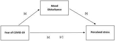 Living in the “Bubble”: Athletes' Psychological Profile During the Sambo World Championship